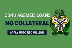 CBN's Agsmeis loans