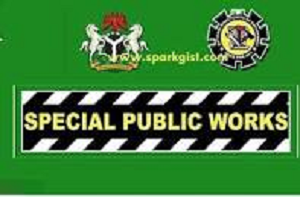 special public works
